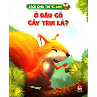 Bách Khoa Toàn Thư Vì Sao – Ở Đâu Có Cây Trụi Lá