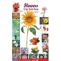 Poster Lớn – Flowers 1: Các Loài Hoa