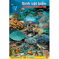 Poster Lớn – Sinh Vật Biển (Tái Bản)