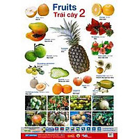 Poster Lớn – Trái Cây 2