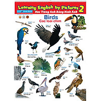 Bộ Poster 8 Tờ – Tập 2