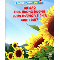 Tại Sao Hoa Hướng Dương Luôn Hướng Về Phía Mặt Trời