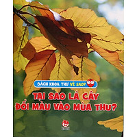 Tại Sao Lá cây Đổi Màu Mùa Thu