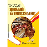 Thức Ăn Cho Gà Nuôi Lấy Trứng Khoa Học