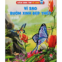 Vì Sao Bướm Xinh Đẹp Thế