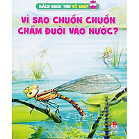 Vì Sao Chuồn Chuồn Chấm Đuôi Vào Nước