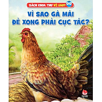 Vì Sao Gà Mái Đẻ Xong Phải Cục Tác