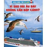 Vì Sao Hải Âu Bay Không Cần Đập Cánh