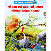 Vì Sao Mỏ Các Loài Chim Không Giống Nhau