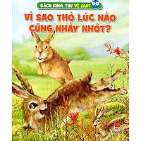 Vì Sao Thỏ Lúc Nào Cũng Nhảy Nhót