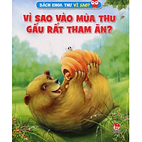 Vì Sao Vào Mùa Thu Gấu Rất Tham Ăn