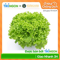 [Chỉ giao HCM] - Xà lách thủy tinh thủy canh VIETGAP - được bán bởi TikiNGON - Giao nhanh 3H