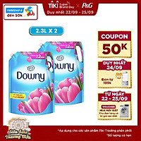 Combo 2 Túi nước xả vải Downy Nắng Mai (2.3L/Túi)