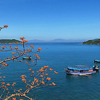 Tour Cù Lao Chàm - Thiên Đường Biển Đảo - Khởi Hàng Hàng Ngày