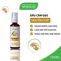 Dầu Cám Gạo Nguyên Chất Dưỡng Da - Tóc - Môi MILAGANICS 100ml (Chai)