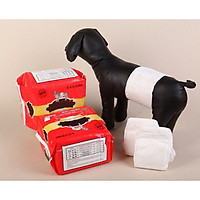 TẢ BỈM CHO CHÓ ĐỰC SIÊU THẤM - SP000641