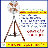 QUẠT CÂY BOUTIQUE - SẢN PHẨM CAO CẤP THƯƠNG HIỆU MR VŨ