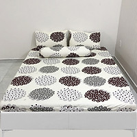 Bộ Drap Cotton Thắng Lợi Áo Gối lót gòn { 4 món } chuẩn logo trên vải