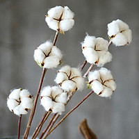 1 Branch Elegant Colored Cotton Flower Artificial Flower Home Wedding Decoration Photo Props
