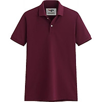 Áo thun nam cổ bẻ Pigofashion chuẩn mọi phong cách AB19 (chọn màu)