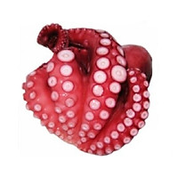 Râu Bạch Tuộc Tako - 1Kg