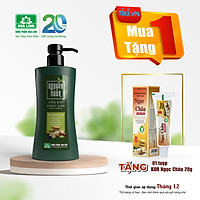 Dầu Gội Dược Liệu Nguyên Xuân Xanh 350ml - Dưỡng Tóc (Khuyến mại thêm 35ml giá không đổi)