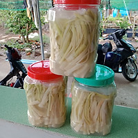 Dưa bồn bồn