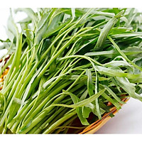 Hạt Giống Rau Muống Lá Tre Thái Lan Gói 40 Gam
