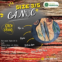 CÁ NỤC - 5 MÓN ĂN NGON ĐƯỢC LÀM TỪ CÁ NỤC CHẾ BIẾN DỄ DÀNG