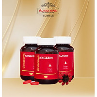 Combo 3 Hộp COLLAGEN Sắc Ngọc Khang thế hệ mới nguyên chất nguyên liệu nhập khẩu từ Nhật