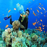 TOUR CÂU CÁ LẶN NGẮM SAN HÔ NAM ĐẢO - PHÚ QUỐC TRONG NGẦY