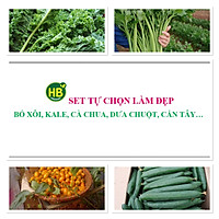 Set salat nước ép