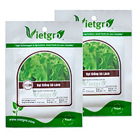 Combo 2 Gói Hạt Giống Xà Lách Vietgro VG29 (Gói 10gr)