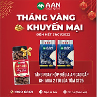 COMBO 02 TÚI GẠO A AN ST25 LÚA TÔM TẶNG 01 HỘP ĐIỀU CAO CẤP 250GR