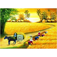 Giấy dán tường - TDQ001