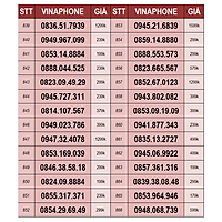 Sim 4G Vinaphone VD149 4GB/ngày (120GB/tháng) + 200 phút gọi ngoại mạng + Miễn phí gọi nội mạng Vinaphone - Hàng chính hãng