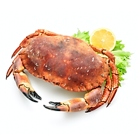Cua Nâu Nauy Đông Lạnh - 1 con 400 - 600gr