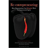 Re-Entrepreneuring: How Organizations Can Reignite Their Entrepreneurial Spirit