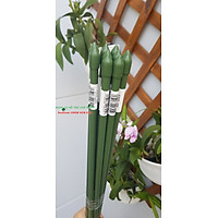 ỐNG LÕI THÉP BỌC NHỰA PHI 8, COMBO 10 ỐNG