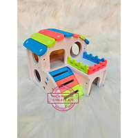 Nhà gỗ sắc màu lớn