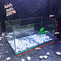 Bể cá mini D40R20C20cm COMBO ĐẦY ĐỦ tặng phụ kiện trang trí