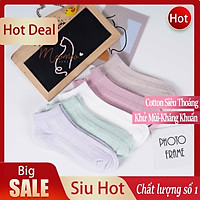 Tất Nữ Cổ Ngắn Basic - Vớ Nữ Cổ Ngắn Cotton Kháng Khuẩn Siêu Hot 2021