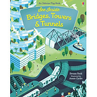 Sách See Inside Bridges, Towers and Tunnels