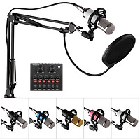 Professional Broadcasting Studio Recording Condenser Microphone Kit with External Sound Card + Mic Windscreen + Shock