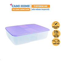 Hộp Trữ Đông Freezermate 3.1L Tupperware, Hộp Mát, Bảo Quản Thực Phẩm, Nhựa Nguyên Sinh An Toàn