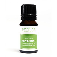Tinh dầu bạc hà âu - Pure essential oil 10 ml - PEPPERMINT