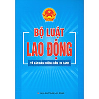 Bộ Luật Lao Động Và Văn Bản Hướng Dẫn Thi Hành