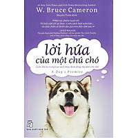 Lời Hứa Của Một Chú Chó