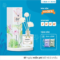 Nước Hoa Gỗ Mây Thơm Phòng ECODEALS - Hương thơm tự nhiên khử mùi khó chịu, ẩm mốc, mồ hôi, mùi thuốc, nhà tắm... đến 50 ngày - Chai 50ml