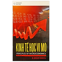 Kinh Tế Học Vi Mô